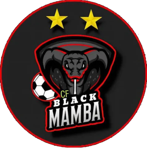 BLACK MAMBA